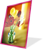 Bouquet of flowers