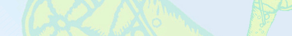 Summer Promotion Header Image