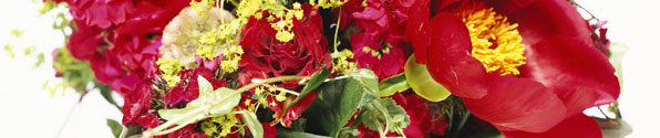 Red flowers