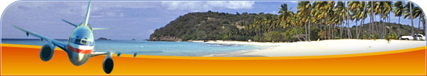 Small Plane and Beach