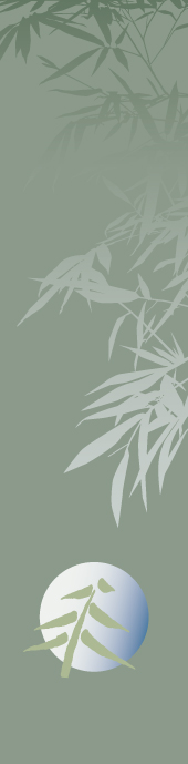 Bamboo