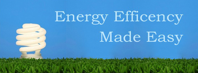 Pillar To Post: The Home Of Home Inspection - Energy Efficiency Made Easy