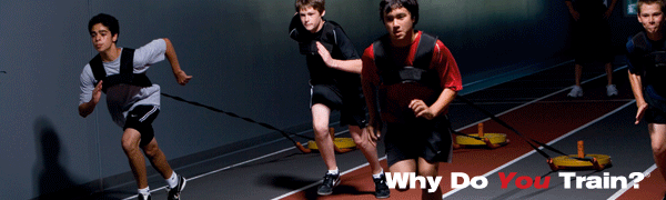 Why Do You Train? (sm)