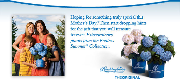 In this business, it's never too early to start thinking about Mother's Day. That's why we're making plans for Mom's special day right now.