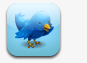 Twitter icon