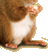Chipmunk