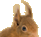 Chipmunk