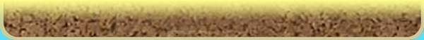 Border image