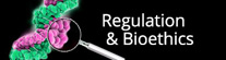 Regulation & Bioethics