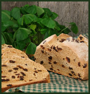 Irish Soda Bread