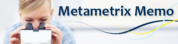 Metametrix Memo
