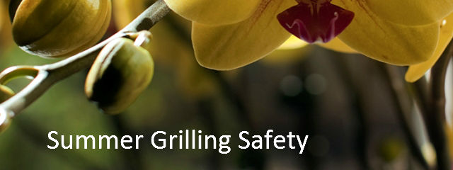 Summer Grilling Safety