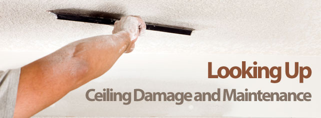 Looking Up: Ceiling Damage And Maintenance