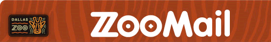 ZooMail