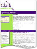 Clark Wellness success story at Constant Contact.