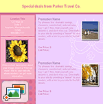 Email Promotions: Birthday Promotion