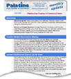 Palatine Chamber of Commerce success story at Constant Contact.