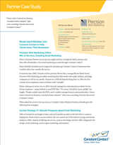 Precision Web Marketing