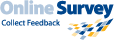 Online Surveys