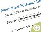 Filter Online Survey Results