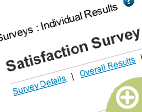 Individual Online Survey Respondent Results