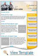 Professional Services Email Newsletter Template