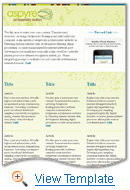 Professional Services Email Newsletter Template