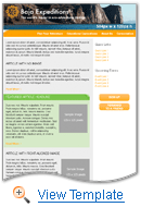 Professional Services Email Newsletter Template