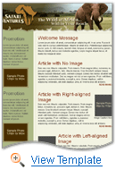 Professional Services Email Newsletter Template