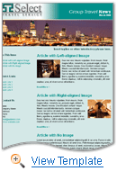 Professional Services Email Newsletter Template