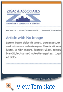 Professional Services Promotional Email Template