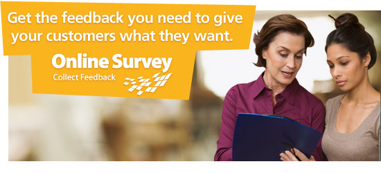 Online Surveys Overview