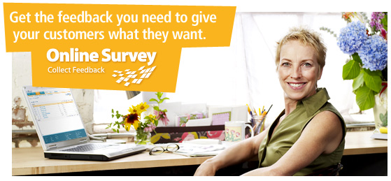 Online Surveys Overview