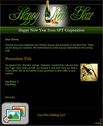 Holiday Templates: New Year's Promotion II