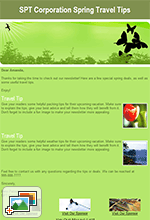 Spring Travel Tips Newsletter Template