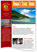 Email Newsletter Sample 3