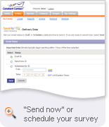 Survey Email Invitation Delivery