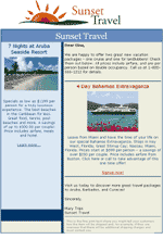 Constant Contact Modern Promotion Template.