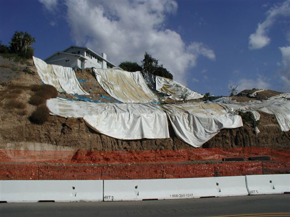 Bonita House