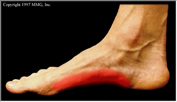 Foot