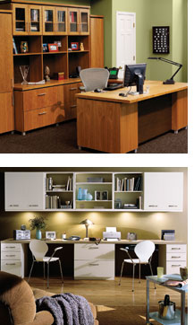 ORG office in wood and ivory