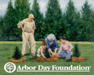 Arbor Day family planting