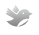 icon3