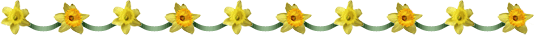 yellow flowers