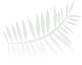 fern