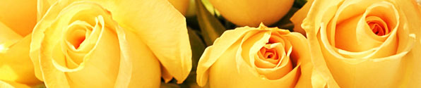 Right-click here to download pictures. To help protect your privacy, Outlook prevented automatic download of this picture from the Internet.
$Account.OrganizationName