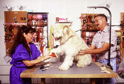 Hondentrimsalon Quno