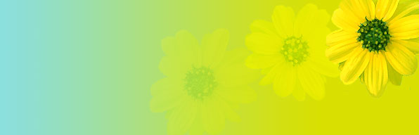 Blue to Green Yellow Flower