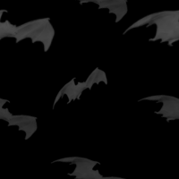 Black bats background 