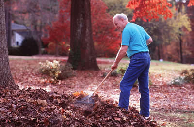 Man Raking Fall Leaves